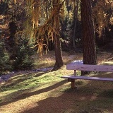 Fotoarchiv für Kunden - Landschaft