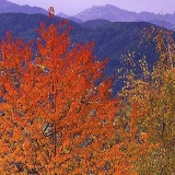 Fotoarchiv für Kunden - Landschaft