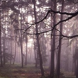 Fotoarchiv für Kunden - Landschaft