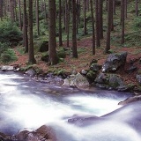 Fotoarchiv für Kunden - Landschaft