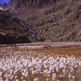 Fotoarchiv für Kunden - Landschaft