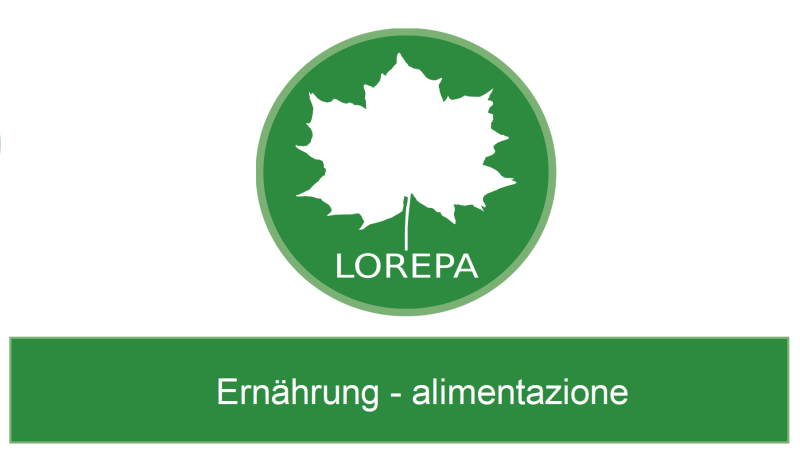 -Ernährung