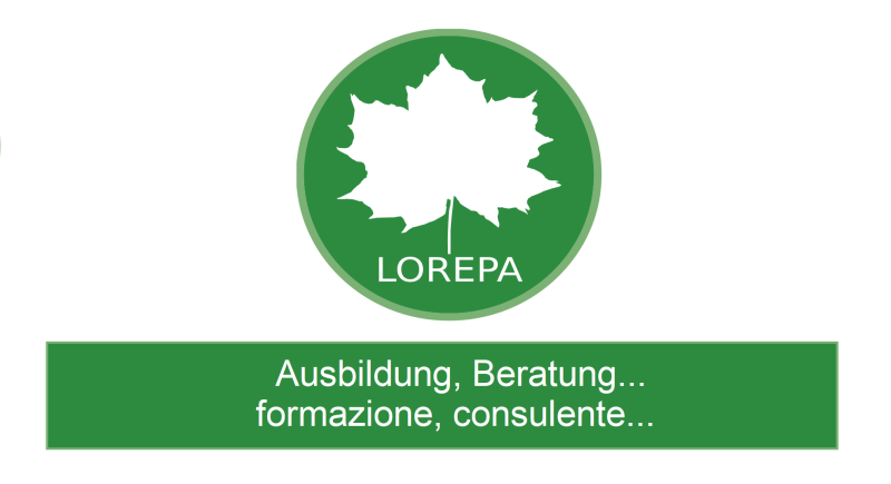-Ausbildung, Beratung...
