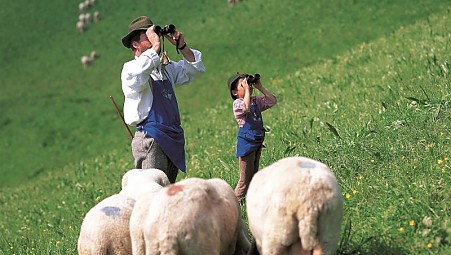 1- Urlaub auf dem Bauernhof