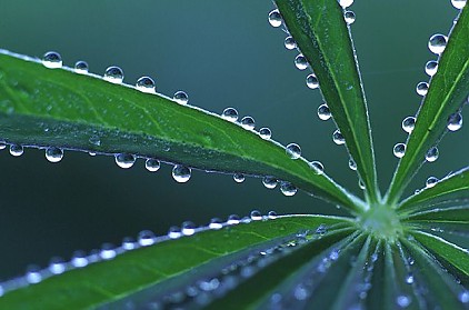 energia- energie rinnovabili