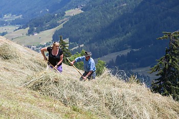 Herstellung von Heumilch auf unserem Bauernhof - Parggenhof