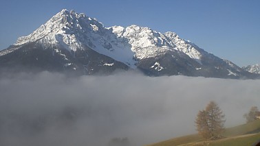 Maso Galler am Berg - agriturismo - San Candido/Versciaco