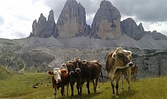 Raggiungibile solo a piedi - malga Grava Longa (in dialetto della Val Pusteria 