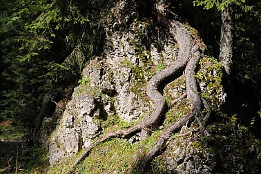 Gemeinde Innichen - Klimaplan - AD05