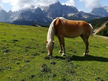 Comune San Candido - piano clima - AD04